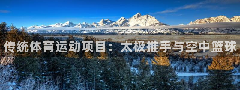 JJB竞技宝官方正版app集团官网网址：传统体育运动