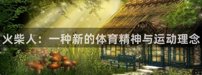 JJB竞技宝官网下载平台注册流程图：火柴人：一种新的