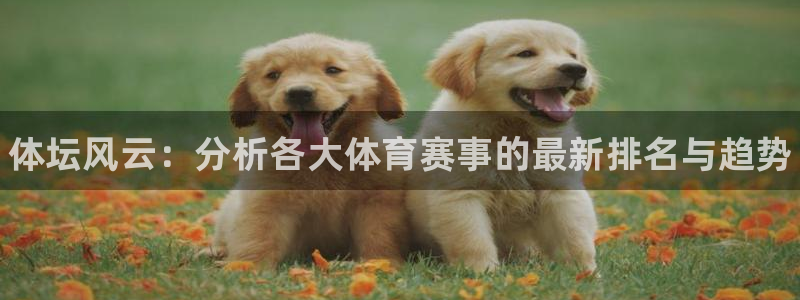 JJB竞技宝官方正版app娱乐网站：体坛风云：分析各