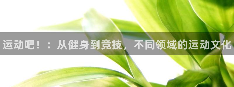 JJB竞技宝官网下载注册：运动吧！：从健身到竞技，不