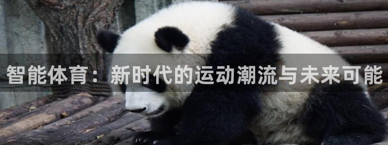 JJB竞技宝官网下载：智能体育：新时代的运动潮流与未