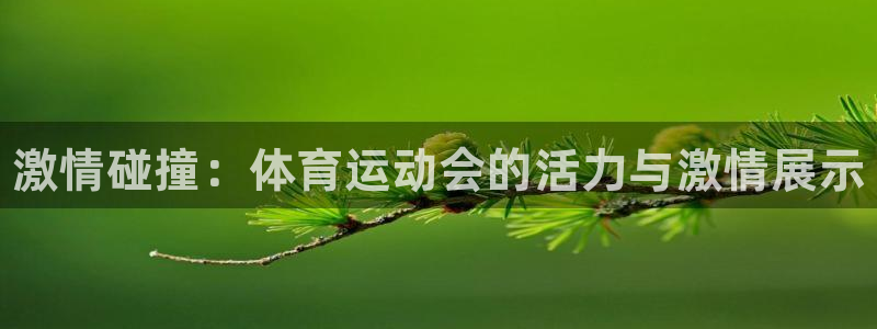 JJB竞技宝官方正版app新能源：激情碰撞：体育运动