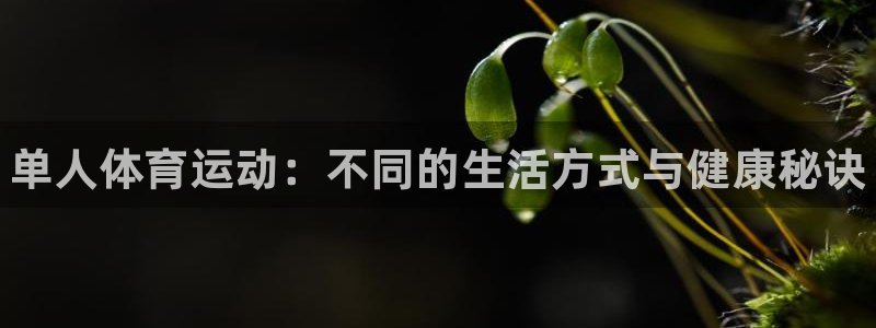 JJB竞技宝官方正版app娱乐：单人体育运动：不同的
