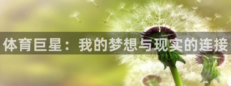 JJB竞技宝官网下载平台是正规平台吗安全吗：体育巨星：我的梦