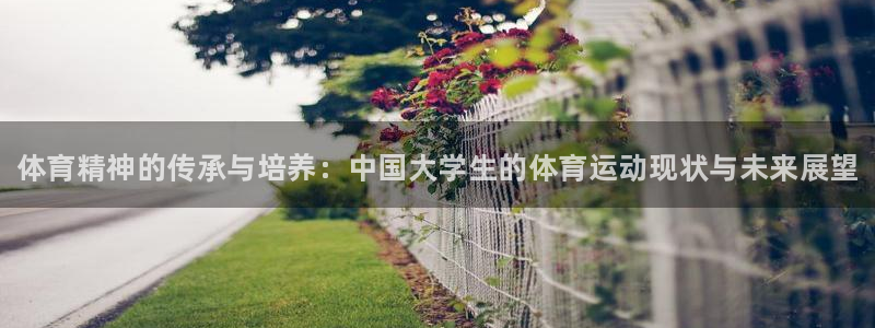 JJB竞技宝官方正版app五金厂：体育精神的传承与培养：中国