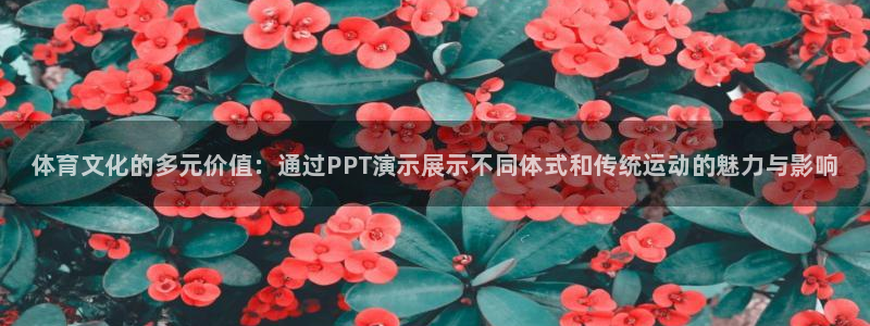 JJB竞技宝官方正版app集团官网首页网址：体育文化的多元价