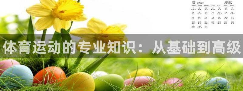 JJB竞技宝官网下载平台：体育运动的专业知识：从基础