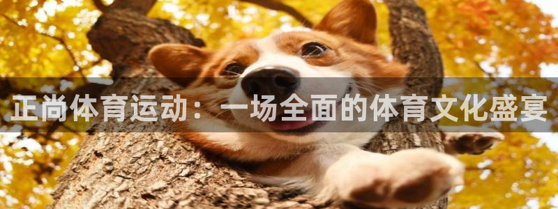 JJB竞技宝官网下载招商电话地址查询
