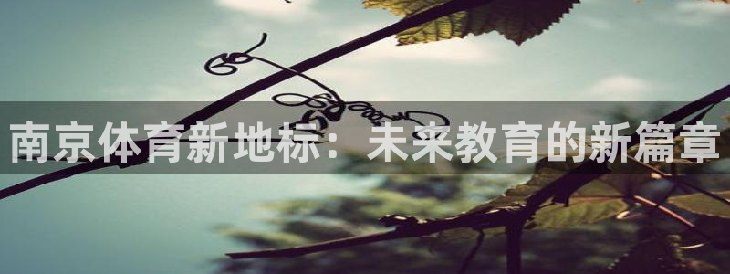 JJB竞技宝官网下载平台假的吗是真的吗吗：南京体育新