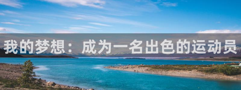 JJB竞技宝官方正版app集团logo：我的梦想：成为一名出