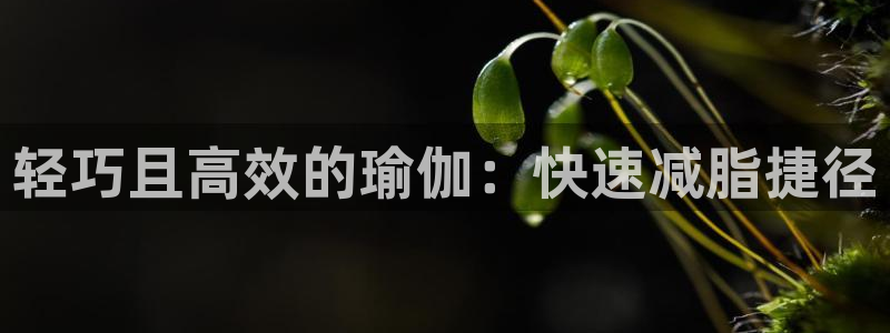 JJB竞技宝官网下载：轻巧且高效的瑜伽：快速减脂捷径