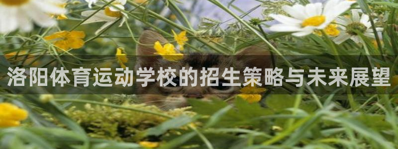 海南JJB竞技宝官网下载发展怎么样：洛阳体育运动学校的招生策