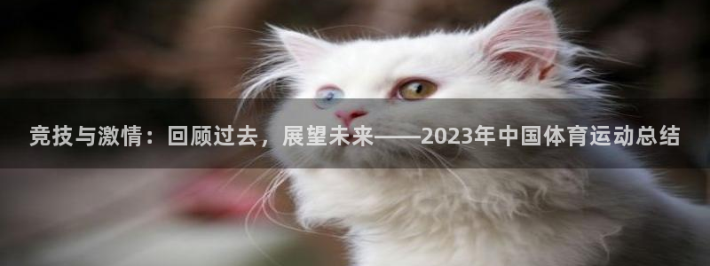 JJB竞技宝官方正版app娱乐网站：竞技与激情：回顾过去，展