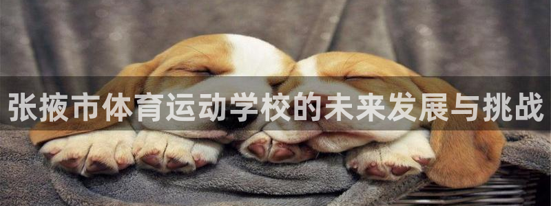 JJB竞技宝官方正版app集团E.ON：张掖市体育运