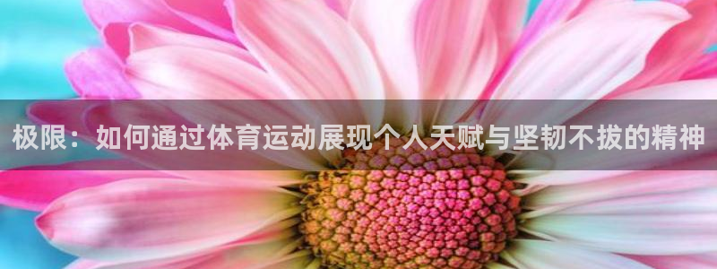 JJB竞技宝官方正版app神州：极限：如何通过体育运动展现个