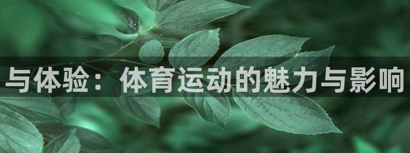 JJB竞技宝官方正版app神州：与体验：体育运动的魅力与影响