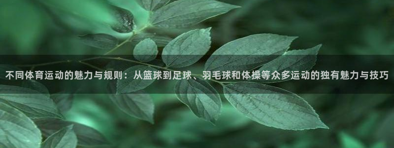 JJB竞技宝官方正版app官网：不同体育运动的魅力与规则：从