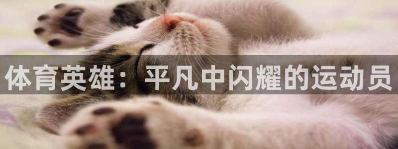 德国JJB竞技宝官方正版app集团：体育英雄：平凡中