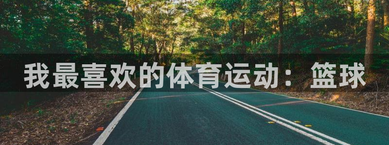 JJB竞技宝官方正版app官网：我最喜欢的体育运动：篮球
