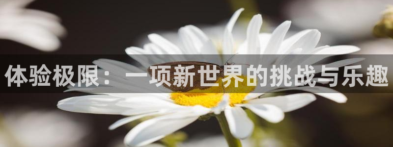 JJB竞技宝官网下载招商电话是多少：体验极限：一项新