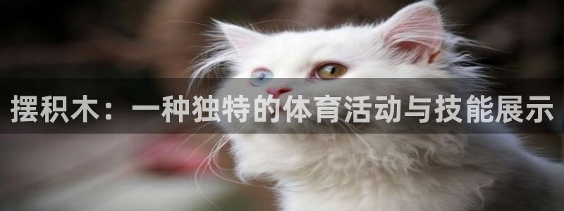 JJB竞技宝官网下载平台：摆积木：一种独特的体育活动与技能展